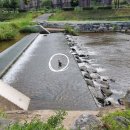 양지천2 이미지