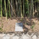 창원 내동패총 이미지