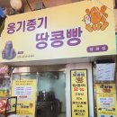 상남동209 이미지