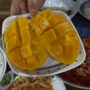 더, 쉼 | 모알보알 숙소 추천 더쉼 다이브 리조트 숙소 솔직후기