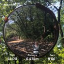 넝쿨노래바 | 다시 돌아온 업힐 지옥과 남산, Dive