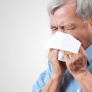 제이디피티샵 이미지