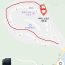 파파스클럽 | 제주 한라산 브런치 추천! 조용한 숲속 카페 파파스브로트