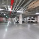 새뜸초등학교 이미지