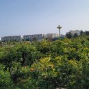 덕송부동산중개사무소 이미지