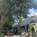 에이치농장 | [망원동 디저트 맛집_Uig 망원 우이그] 티그레 후기