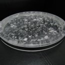 수정불고기 이미지