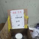 통일자동차공업사 | 레인지로버 스포츠 사고수리 SVR룩 컨버젼 / 안양 수입차수리