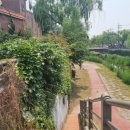 삼일중 입구 네이버블로그