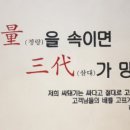 싸돼기
