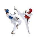 푸른나래 태권도 교육관 이미지