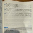 핵지총 3737 이미지