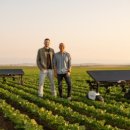 태양 1농장 이미지