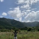 캠프원 야영장 이미지