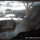 송영목장 이미지