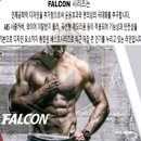 렉스파트너스 이미지