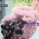 애정아로니아