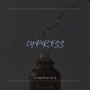민레스트