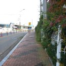 당진시립합덕도서관 | 당진시립중앙도서관 첫 방문 후기 (회원증 발급, 준비물, 평일 분위기, 책 한권 클리어~) 리뷰