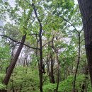 (주)그린웨이 이미지