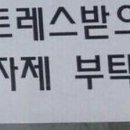츄츄바앤츄밥 이미지