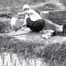 옛날옛적에 이미지