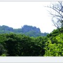 땅끝천년숲옛길 이미지