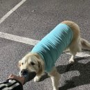 여주-1142 이미지