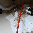 두려움을 제거하는 가장 빠른 방법 | 앗, 이런 일이! 변기막힘, 당황하지 않고 해결하는 꿀팁 알려드릴게요!