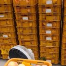 치상농장 이미지