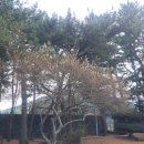 제주꿈바당어린이도서관 이미지