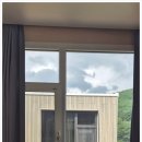 코코앤망고 이미지