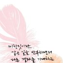 차꽃핀차나무요가