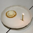 트리드 | 흑백요리사 트리플스타 트리드 런치 후기 (2025 겨울)