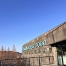 맑은날(산본스파랜드) | 아산 파라다이스 스파 도고 후기, 아이와 겨울 온천·유수풀·푸드코트 솔직 리뷰