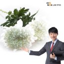 대림라이프상조 이미지