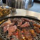 정사장네 갈매기 이미지