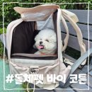 디자인바이펫 | 강아지 이동가방 추천! 슬개골까지 생각한 돌체펫 바이 코튼 벨루즈백 사용 후기