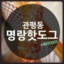 [대전맛집] 관평동 명랑핫도그 줄서먹는 전국구 핫도그 / 명랑핫도그 포장 팁