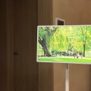 삼성당로 이미지