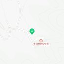 두드림풀꽃