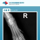 보령동물병원 이미지