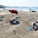 삼양해수욕장 이미지