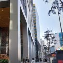 진접애플치과의원 | [내돈내산] 명동콤비치과의원 구글평점 4.9점 대단해 총평