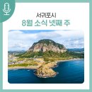서귀포초등학교 | 서귀포시 8월 소식 (넷째 주)