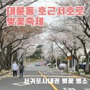 호근서호로 네이버블로그