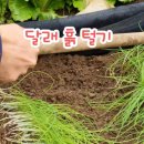 달래네 하우스 이미지