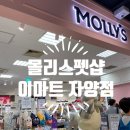 (주)이마트 해운대점 몰리스펫샵 | 이마트 자양점 몰리스펫샵 건강한 강아지 간식