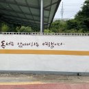 금성초등학교 병설유치원 이미지