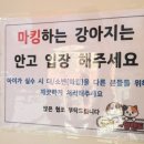 펫츠아일랜드 이미지